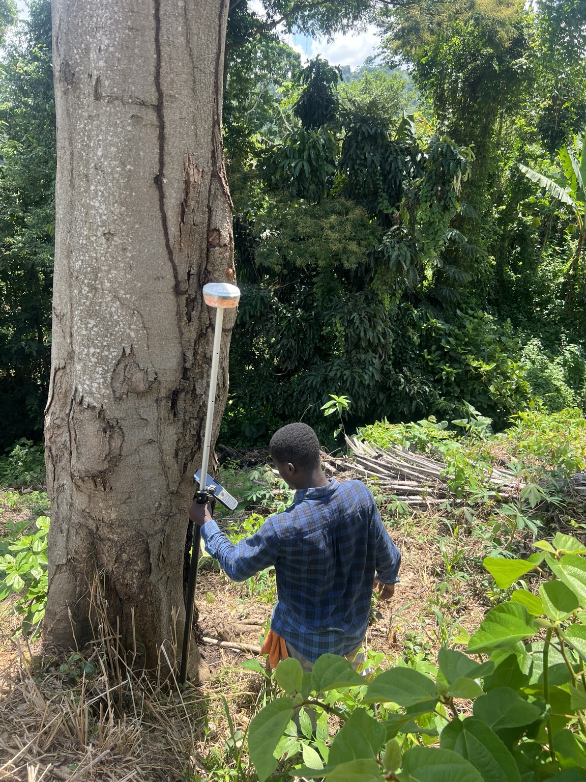 Boundary field survey